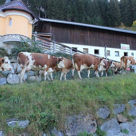 Appartmenthof Aigengut Ferienwohnung Grossarl Exterior foto